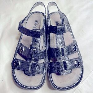 Alegría Kleo black leather snake print T strap wedge platform sandals